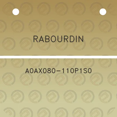 rabourdin-a0ax080-110p1s0