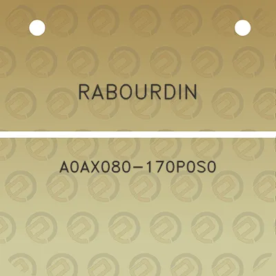 rabourdin-a0ax080-170p0s0