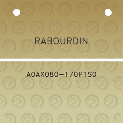 rabourdin-a0ax080-170p1s0