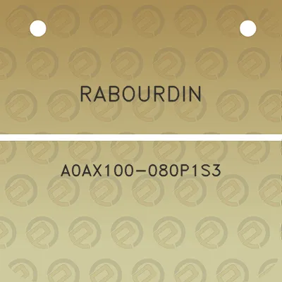 rabourdin-a0ax100-080p1s3