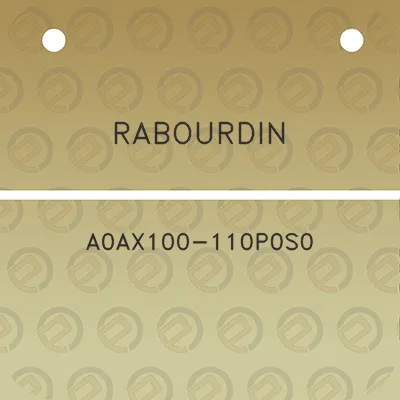 rabourdin-a0ax100-110p0s0