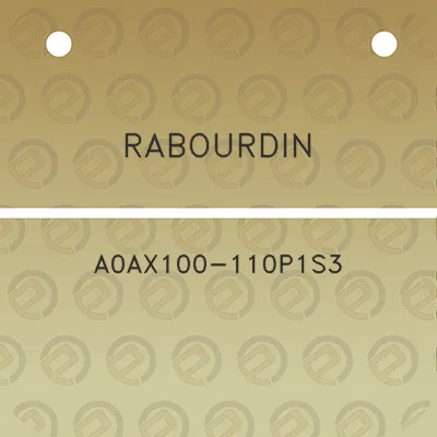 rabourdin-a0ax100-110p1s3