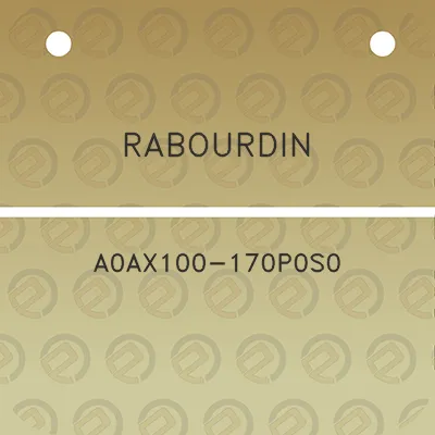 rabourdin-a0ax100-170p0s0