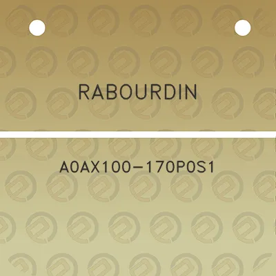 rabourdin-a0ax100-170p0s1