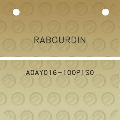 rabourdin-a0ay016-100p1s0