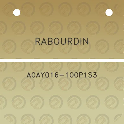 rabourdin-a0ay016-100p1s3