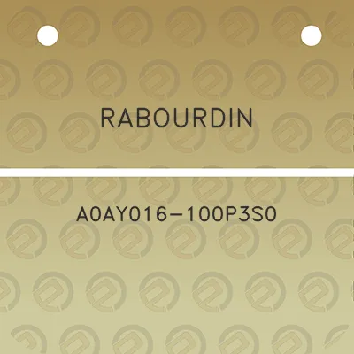 rabourdin-a0ay016-100p3s0