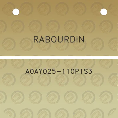 rabourdin-a0ay025-110p1s3