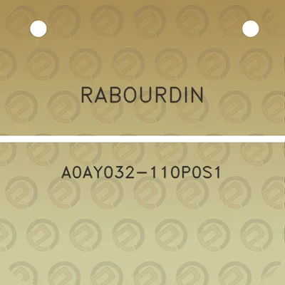 rabourdin-a0ay032-110p0s1