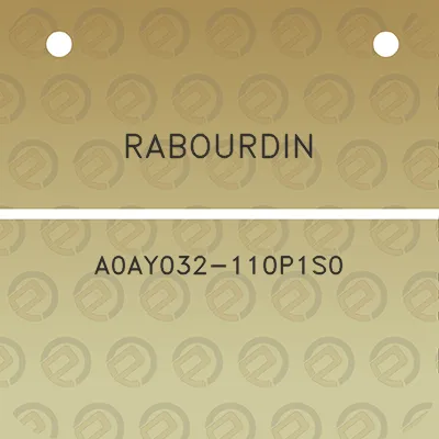 rabourdin-a0ay032-110p1s0