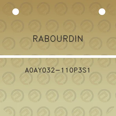 rabourdin-a0ay032-110p3s1