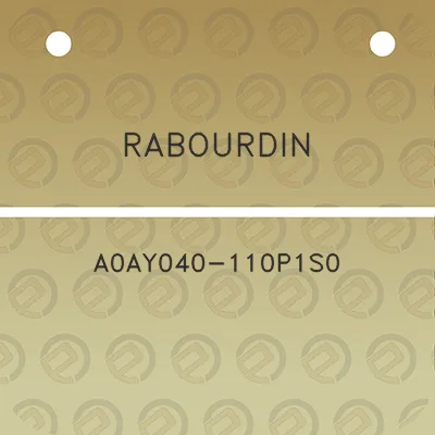 rabourdin-a0ay040-110p1s0