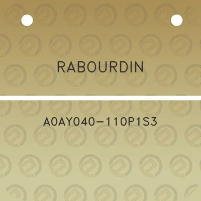 rabourdin-a0ay040-110p1s3