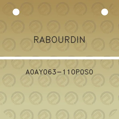 rabourdin-a0ay063-110p0s0