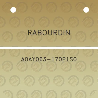 rabourdin-a0ay063-170p1s0