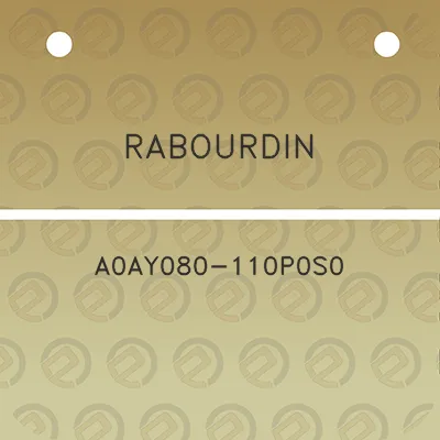 rabourdin-a0ay080-110p0s0