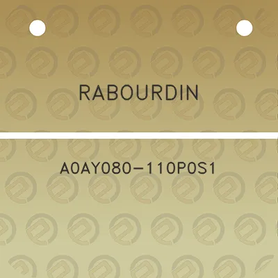 rabourdin-a0ay080-110p0s1