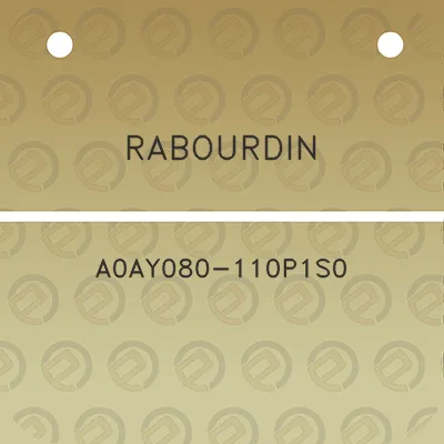 rabourdin-a0ay080-110p1s0