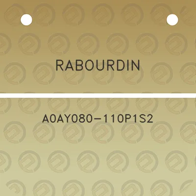 rabourdin-a0ay080-110p1s2