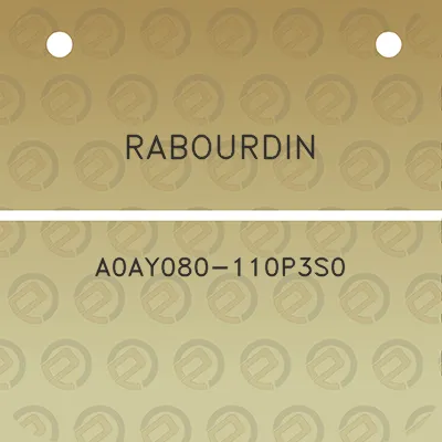 rabourdin-a0ay080-110p3s0