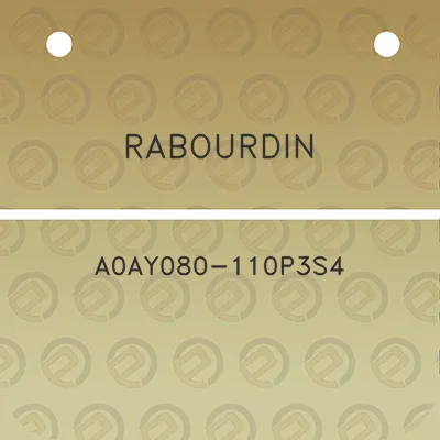 rabourdin-a0ay080-110p3s4