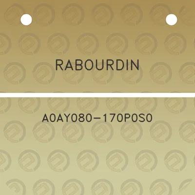 rabourdin-a0ay080-170p0s0