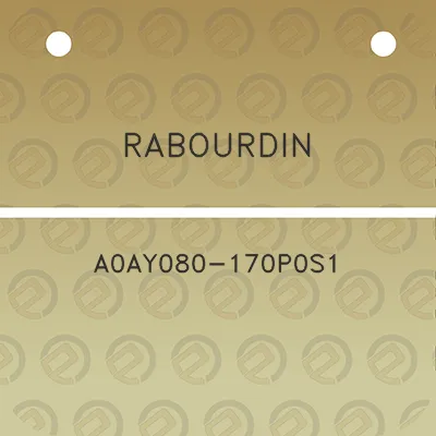 rabourdin-a0ay080-170p0s1