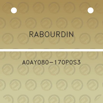 rabourdin-a0ay080-170p0s3