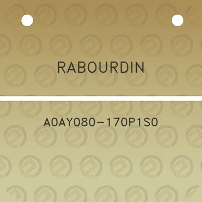 rabourdin-a0ay080-170p1s0