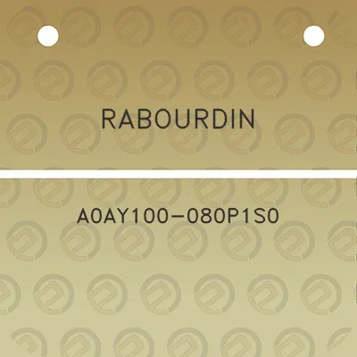 rabourdin-a0ay100-080p1s0