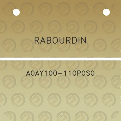 rabourdin-a0ay100-110p0s0