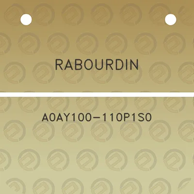 rabourdin-a0ay100-110p1s0