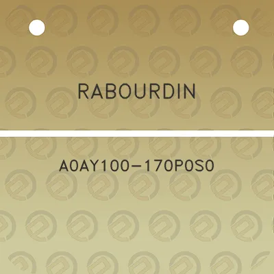 rabourdin-a0ay100-170p0s0