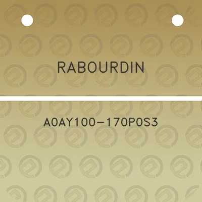 rabourdin-a0ay100-170p0s3