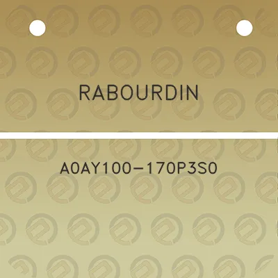 rabourdin-a0ay100-170p3s0