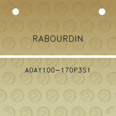 rabourdin-a0ay100-170p3s1