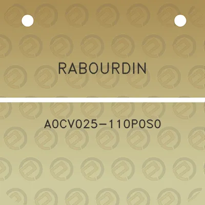 rabourdin-a0cv025-110p0s0