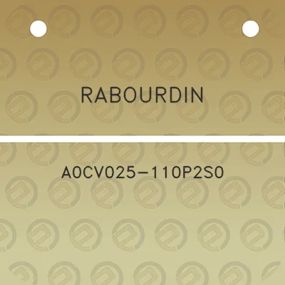 rabourdin-a0cv025-110p2s0