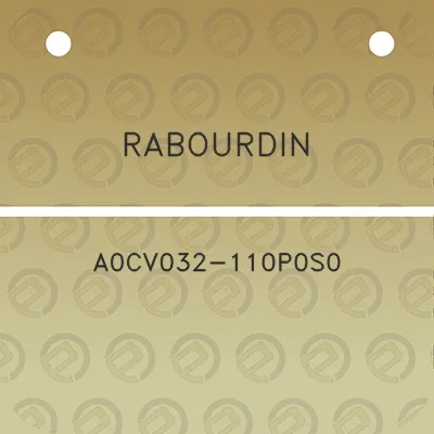 rabourdin-a0cv032-110p0s0