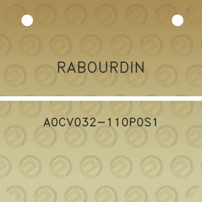 rabourdin-a0cv032-110p0s1