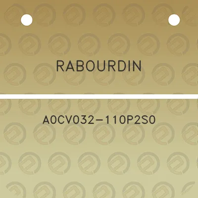 rabourdin-a0cv032-110p2s0