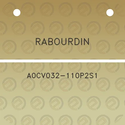 rabourdin-a0cv032-110p2s1