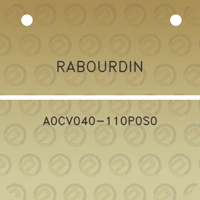 rabourdin-a0cv040-110p0s0