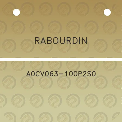 rabourdin-a0cv063-100p2s0