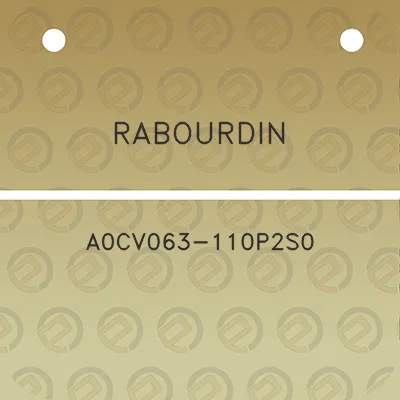 rabourdin-a0cv063-110p2s0