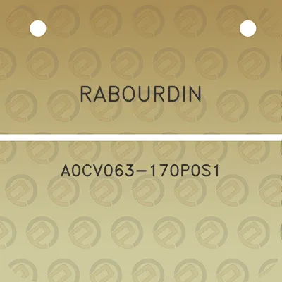 rabourdin-a0cv063-170p0s1