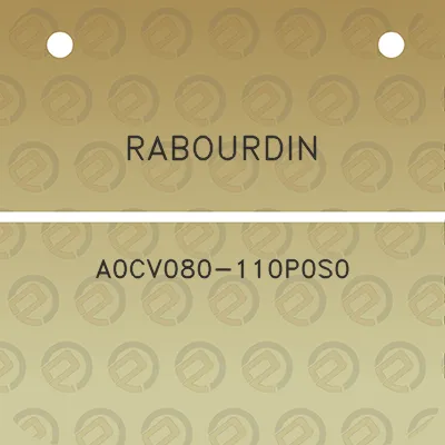 rabourdin-a0cv080-110p0s0