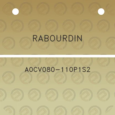 rabourdin-a0cv080-110p1s2