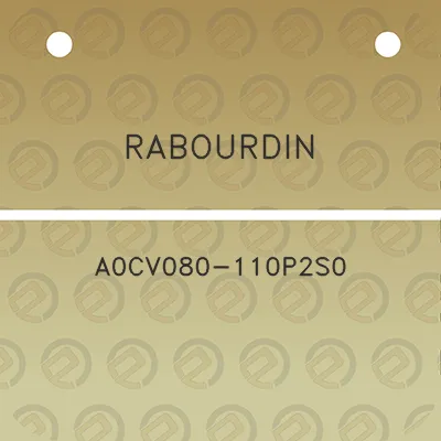 rabourdin-a0cv080-110p2s0