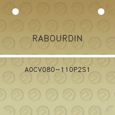 rabourdin-a0cv080-110p2s1